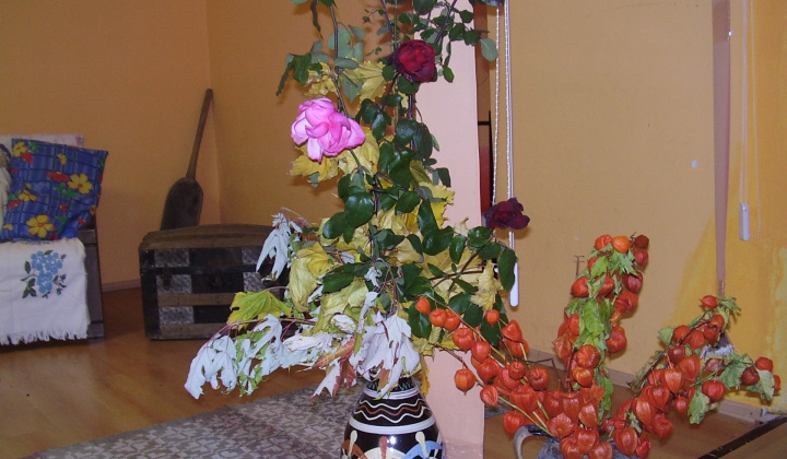 Dôchodcovia