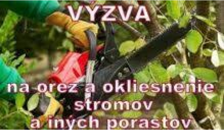 Výzva na vykonanie výrubu/ orezu stromov a iných porastov pri realizácii výrubov v ochrannom pásme VVN/ZVN vedení fromou verejnej vyhlášky